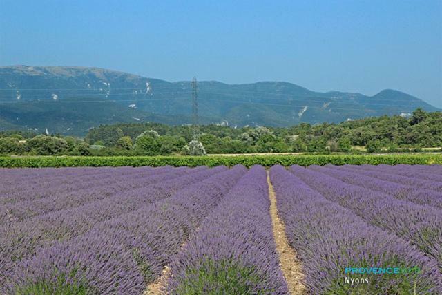 Villa Les Pins Mirabel-aux-Baronnies Екстериор снимка